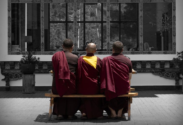 nature therapy experience goa